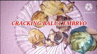 CRACK BALUT🥚🦆EGG EMBRYO EXOTIC FOOD EGGBALUT [upl. by Auburn830]