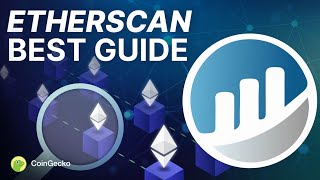 How To ACTUALLY Use Etherscan  Beginners Complete Tutorial [upl. by Lita]