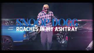 Snoop Dogg  Roaches In My Ashtray feat proHoeZak Official Music Video [upl. by Dyanne]