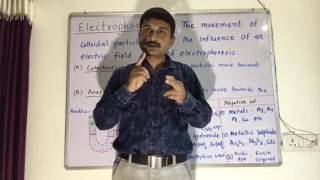 Electrophoresis of Lyophobic Colloid [upl. by Ayouqes]