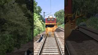 CRAZY ANIMALS ON TRACKS VS TRAINS 😱 train [upl. by Haisa]