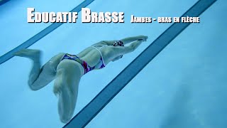 technique éducatif brasse  jambes de brasse en immersion [upl. by Ahsiekan488]