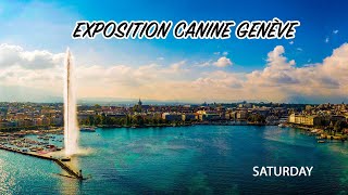 Exposition Canine Genève  SATURDAY [upl. by Holden615]