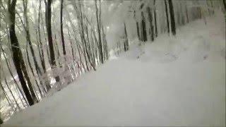 Fatbike Downhill vom Lauschegipfel [upl. by Coats]