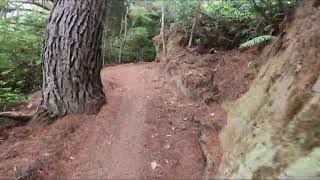 Taniwha mtb race 43 km 2024 [upl. by Sorci]