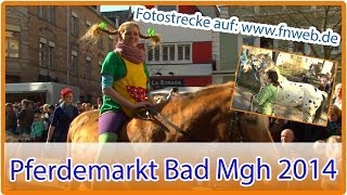 Pferdemarkt in Bad Mergentheim begeistert Tausende  by Fränkische Nachrichten [upl. by Tacye]