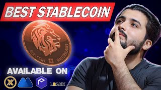 Best Stablecoin of 2024 A hedge against inflation and crypto volatility [upl. by Dannel281]