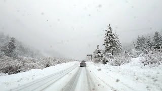 Drive Through The Snowstorm Blizzard In Wrightwood California 【4K】 60fps [upl. by Ennoval]