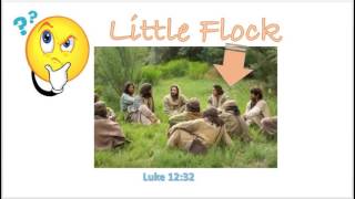 Jehovahs Witnesses quotLittle Flockquot quot144000quot Luke 1232 Who goes to heaven [upl. by Raasch611]