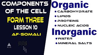 FORM THREE ll BIOLOGY ll ENZYMES ll AFSOMALI [upl. by Yanttirb]