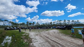 Tates Hell and Apalachicola National Forest [upl. by Jaquenetta]