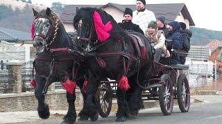 Parada cailor 6 Ianuarie 2024 cu Chiraleisa de Bobotează  Păltinoasa Bucovina [upl. by Aseek]