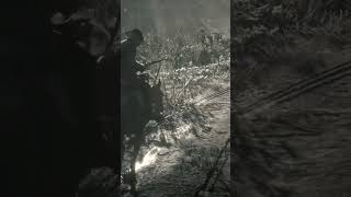 RDR2  The Delights Of Van Horn gaming rdr2 shortvideo [upl. by Lladnek]