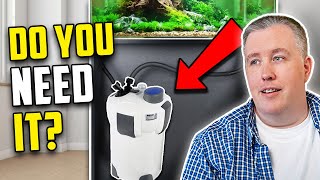 Does Your Aquarium Need A Canister Filter [upl. by Strait]