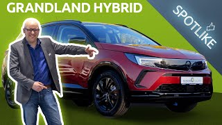 DER OPEL GRANDLAND HYBRID 2022  Der schicke amp effiziente SUV 😍🔋  Bleker Gruppe SPOTLIKE [upl. by Clifford]