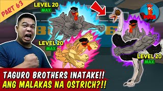 Lahat ng Taguro Inatake Ang Ostrich  Manok na Pula Part 63 [upl. by Ahsam872]