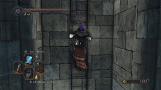 Dark Souls 2 SotFS  Drangleic Castle Activating Lift For Kings Passage Key [upl. by Ardnuek]