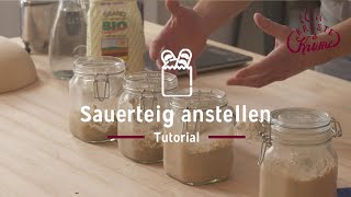 Sauerteig anstellen  Tutorial  KrusteampKrume [upl. by Uase]