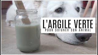 SOIGNER SON ANIMAL AU NATUREL  LArgile Verte [upl. by Notsek]