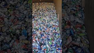 Do you recycle your aluminum cans ScrapLife recycle recycling business aluminum cans metal [upl. by Balac]