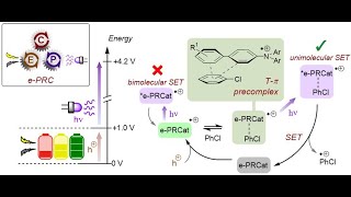 Hole Mediated Photoredox Catalysis [upl. by Steele]