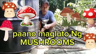 paano mag luto ng fruiting bag ng mushroom [upl. by Clemen782]