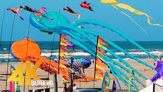 Washington Kite Festival in WA  4K Ultra HD Relaxation Video with Waves Sounds [upl. by Aiykan573]