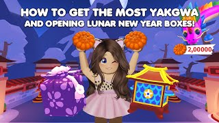 How to get the MOST YAKGWA amp OPENING LUNAR NEW YEAR BOXES SO LUCKY in Adopt me [upl. by Arramas]