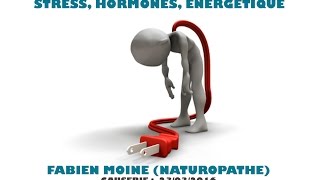 La fatigue chronique  hormones stress et énergétique [upl. by Aitrop]