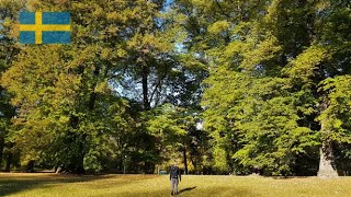 Haga Park Hagaparken 15Km hiking in the autumn  Stockholm Sweden [upl. by Ennaitsirk771]