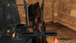 Dark Souls II  Drangleic Castle  Finding the 3rd Bonfire and Faraam Armor Set [upl. by Yniatirb90]