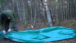 Ground pea pod tarp shelter  survival shelter [upl. by Arej]