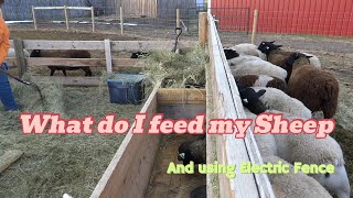 A run thru of how I do some things at the farm Vlog 10 [upl. by Bozuwa42]