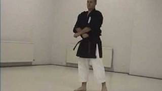 BASSAI DAI KATA GKR EX REGIONAL MANAGER GAVIN RICHARDSON SHO GO RYU KARATE [upl. by Neisa]