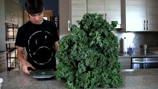 Massive Kale Salad Challenge Morgans back [upl. by Halihs]