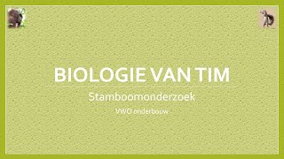 Biologie van Tim  Stamboomonderzoek onderbouw [upl. by Aym]