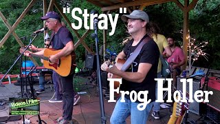 Frog Holler Performs Their Incredible Original Song Stray Live [upl. by Gnouhc]