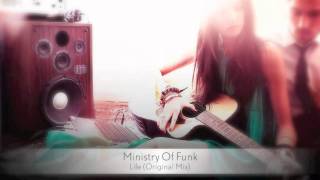 Ministry Of Funk  Life Original Mix [upl. by Ezechiel]