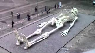 Giant Humans Of The Past  Real Skeleton Of A Giant [upl. by Fast]