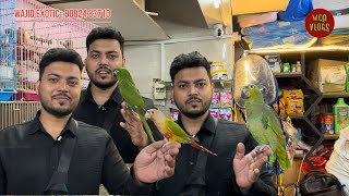 Wajid exotic pets new stock update Exotic Birds BirdLover Mumbai [upl. by Oznol]