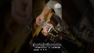 Fingerstyle Tabs：《怪我只敢做好人》by 林家謙 Terence Lam｜Fingerstyle Tab｜訂閱｜結他譜｜廣東歌｜結他士多｜指彈世界 [upl. by Yeuh673]