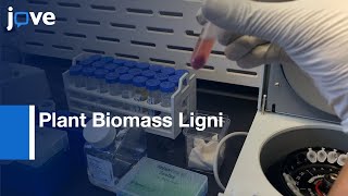 Plant Biomass Lignin Content Estimation by Thioglycolic Acid TGA  Protocol Preview [upl. by Ahsercal]