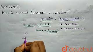 Frog is ureotelicuricotelic in excretion  CLASS 11  STRUCTURAL ORGANISATION IN ANIMALS  BI [upl. by Neelahtak]