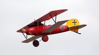 Maxford USA 15 Scale Albatros DVa WWI Fighter RC Model ARF [upl. by Eednahs]