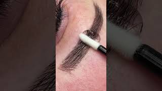 EYEBROW LAMINATIONS AT HOME  EYEBROW WAXING TUTORIAL  shorts shots short shortsfeed viral [upl. by Miner]