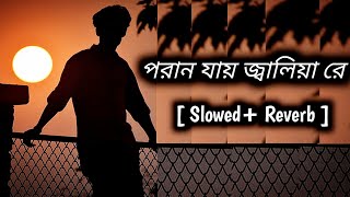 Poran jai jolia re lofi song  পরান যায় জ্বলিয়া রে  Bengali lofi song 2024  Slowed  Reverb  Dev [upl. by Jo Ann468]