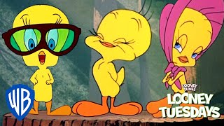 Looney Tuesdays  Tweety an Icon for Everyone  Looney Tunes  WB Kids [upl. by Llennoj]