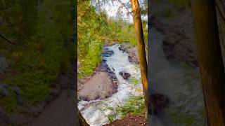 Oxtongue RiverRagged Falls  Algonquin Provincial Park algonquin autumn [upl. by Eniar]