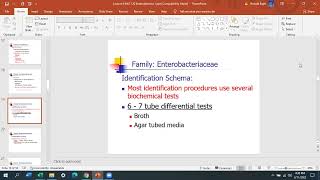 Lecture 6  Enterobacteriaceae 1 [upl. by Chader90]