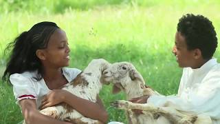 ያላኻ ያላኻ New Eritrean Music video 2017 Redwan Mahari Bambini Ft Yorkabiel Mahari Official [upl. by Ikkim]